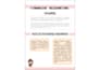 write neat handwritten study notes, letters and assignments